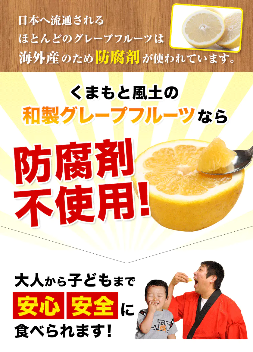 河内晩柑 1.5kg 送料無料 和製 グレープフルーツ 旬 の フルーツ 果物 みかん 別名：夏文旦 愛南ゴールド 宇和ゴールド ジューシーみかん と同品種 晩柑 熊本県産《3月中旬~4月上旬頃発送予定》