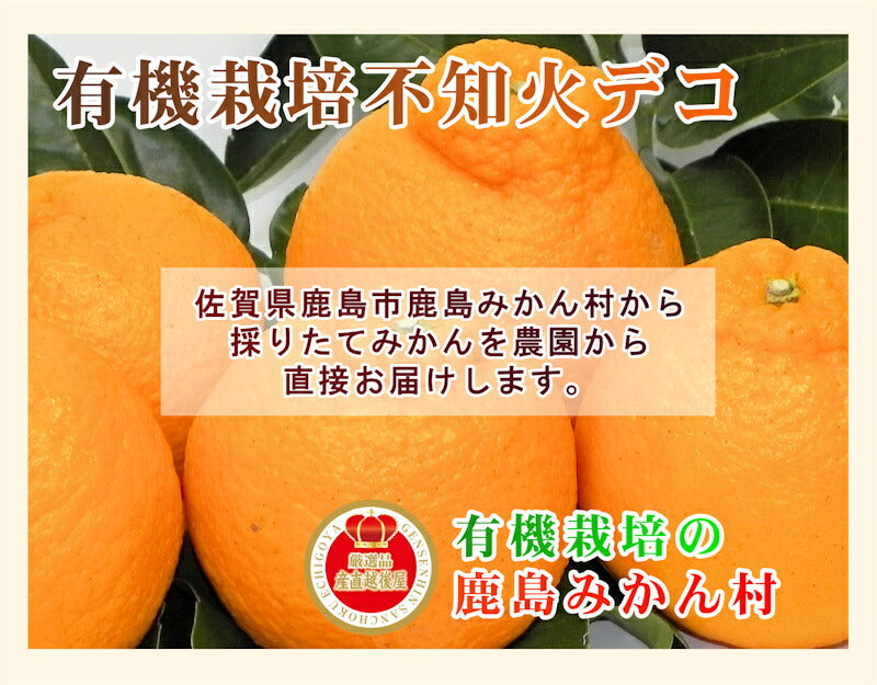 【フルーツ みかん 有機栽培 不知火デコ】佐賀県 鹿島市 有機みかん佐藤農場有機栽培 不知火デコ 3kg採りたてを農園から産地直送 送料無料【ミカン 果実 ギフト 無農薬栽培】
