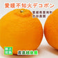 【フルーツ みかん 不知火デコポン】愛媛県 愛南町 みかん果樹園 吉田農園樹上完熟栽培 吉田の不知火デコポン 大玉10kg採りたてを農園から産地直送送料無料【ミカン 果実 ギフト 贈答品】