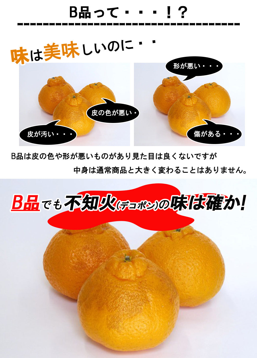 不知火 (デコポン) B品 5kg 果物 産地直送 愛媛県産