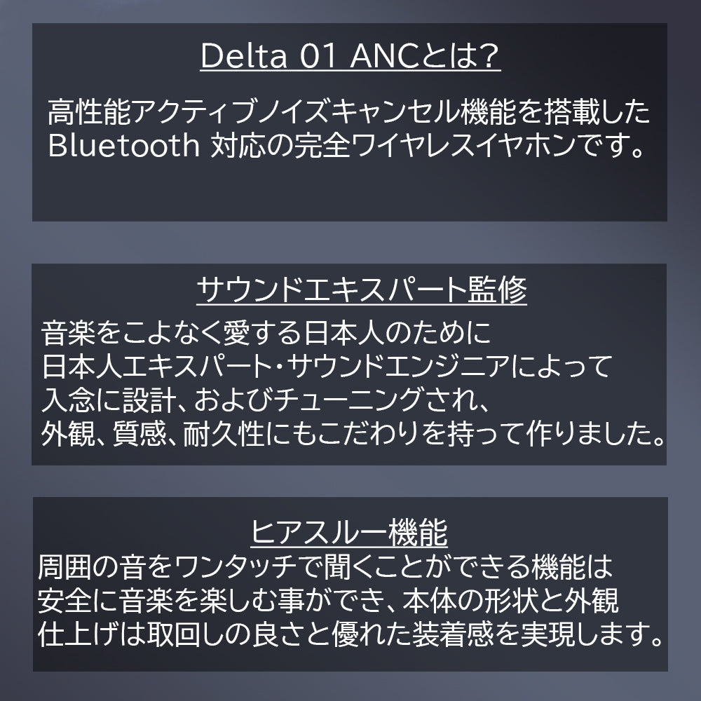 【3人シェア買いでお得】3ee Delta01 ANC | 超小型 純正 イヤホン bluetooth 5.0