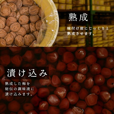 特選 紀州南高梅 さらり 塩分 減塩 3% 500g うす塩 梅干