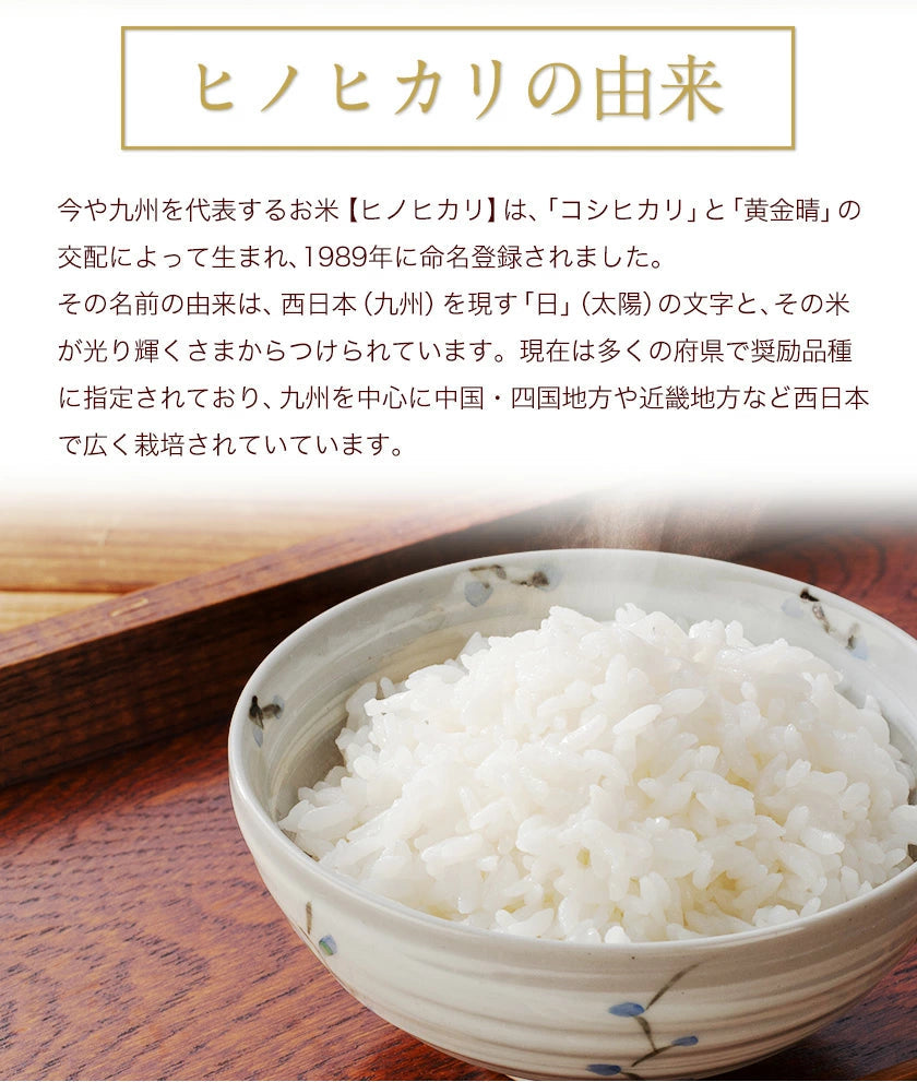【熊本コレクション】【新米 令和4年産】ひのひかり 米 10kg 送料無料 (5kg ×2袋)【4年産】単一原料米 単一米 米 熊本県産 ヒノヒカリ コメ 精米 白米 《1-5営業日以内に発送予定(土日祝日除く)》