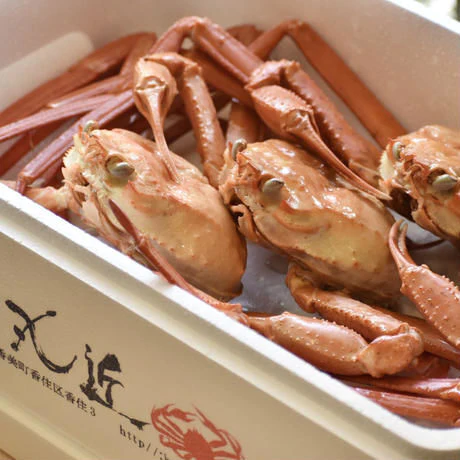 浜ゆで 香住ガニ 指落ち 【約1.0kg～1.2kg】 2～3杯入