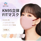 マスク　【アッシュ×ワイン】おしゃれ　バイカラー登場　耳紐同色　50枚　小顔 大人用　不織布 3D 男女兼用