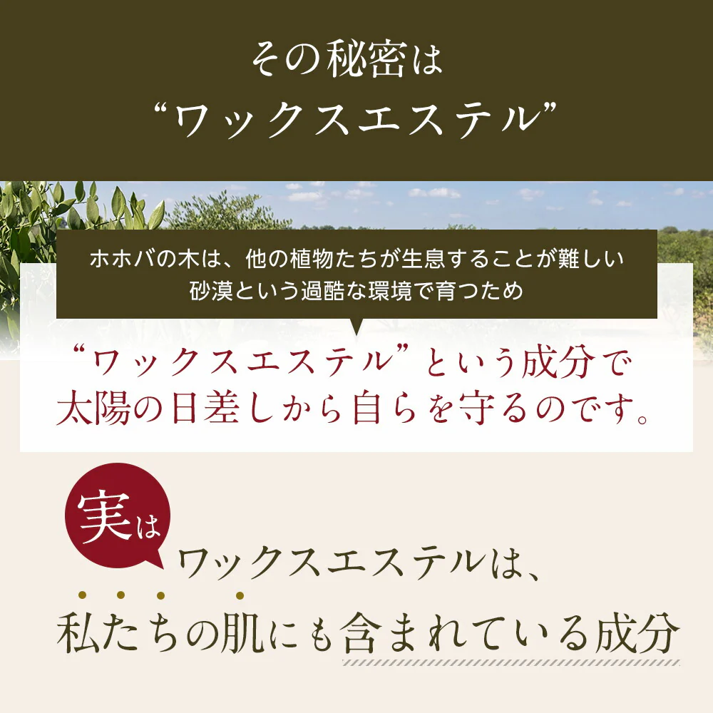 ホホバオイル オーガニック・ゴールデン生ホホバオイル 200m×2個セット 【送料無料】 キャリアオイル ヘアケア マッサージオイル 植物性 スキンケア carrier ヘアオイル ボディオイル ポンプ 全身 キューティクルオイル 髪 無添加 ゴールデン