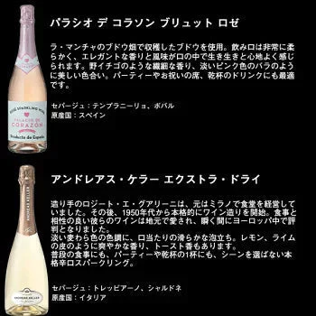 【送料無料】金賞・シャンパーニュ製法入り 辛口スパークリングワイン 12本セット［常温］【4〜5営業日以内に出荷】[W][S]