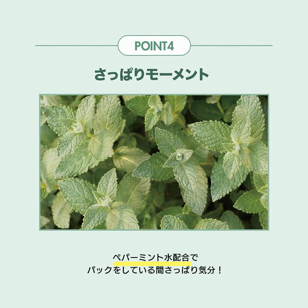 【数量わずか】オリーブヤング アイム ザ リアル パック クレイパック クレイマスク 毛穴 角質 皮脂 #シュレック 韓国コスメ フェイスパック プレゼント OLIVEYOUNG 定形外 数量限定