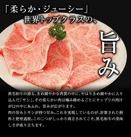 九州産 黒毛和牛 クラシタ 500g 霜降り 肉 牛肉 スライス