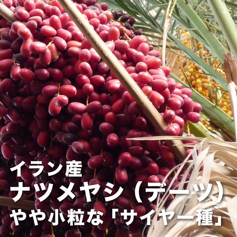 【限定クーポンで20%OFF】デーツ 無添加 ドライデーツ 800g サイヤー種 イラン産