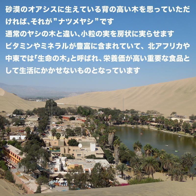 【限定クーポンで20%OFF】デーツ 無添加 ドライデーツ 800g サイヤー種 イラン産