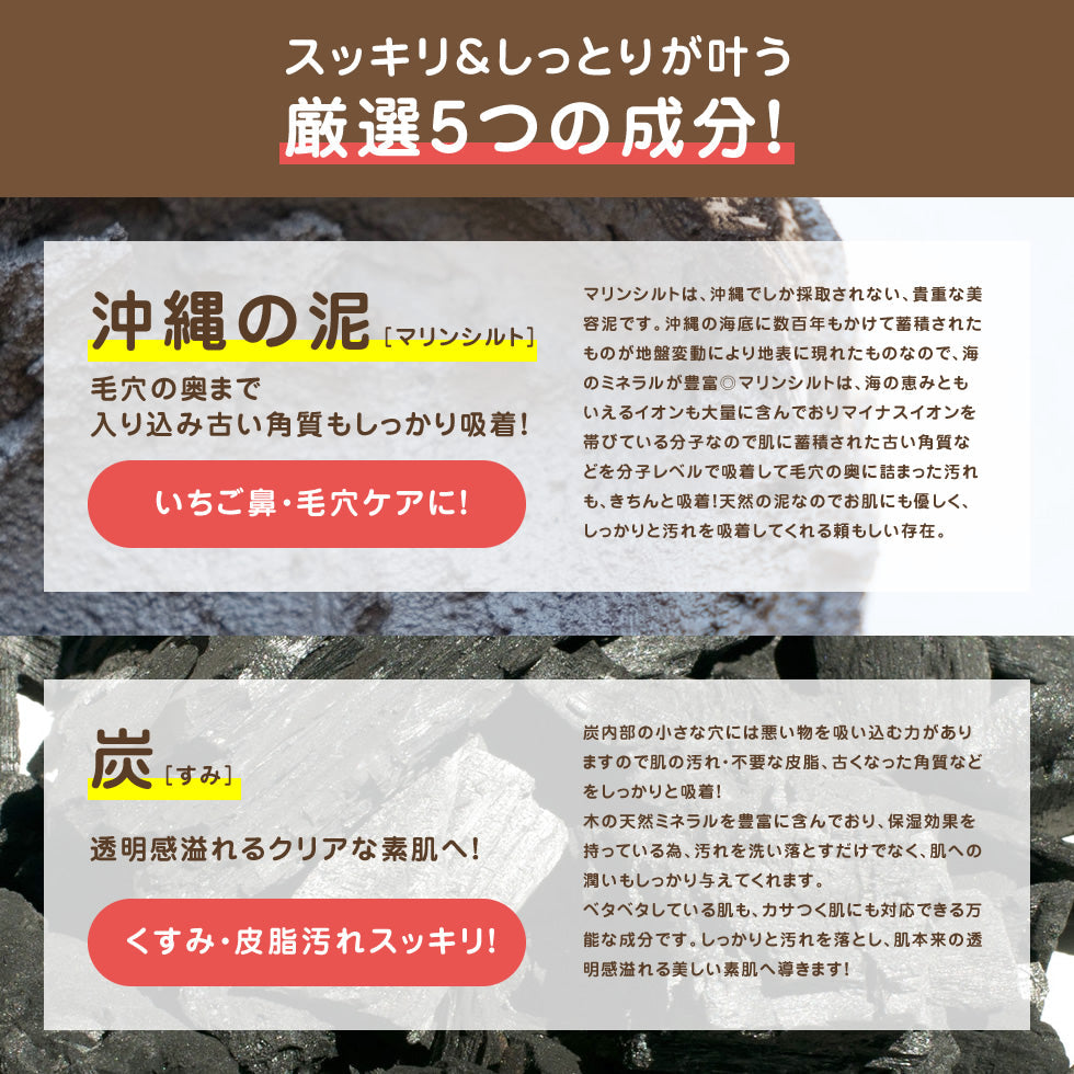 ボタニカルオールインワンゲル＆どろばーゆ あわ洗顔Ａ 特別セット オールインワンジェル 特別セット BOTANICAL いちご鼻 炭 豆乳 スキンケア コスメ 2023 福袋 ゆうパケット 送料込み プレゼント コスメ ギフト