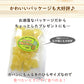 100g  ドライパイン  ドライフルーツ