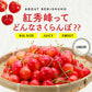 【７月中旬～下旬出荷】紅秀峰 さくらんぼ 800g 北海道 余市町 仁木町産
