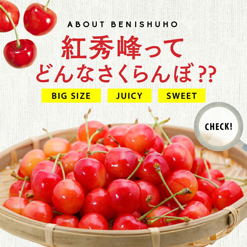 【７月中旬～下旬出荷】紅秀峰 さくらんぼ 800g 北海道 余市町 仁木町産