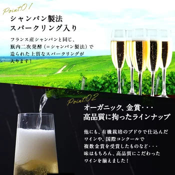 厳選 金賞入り 高品質 全部 辛口 スパークリング ワイン 12本 飲み比べ セット ［常温］ 【送料無料】 [W][S] 泡 イタリア スペイン シャンパン製法 瓶内二次発酵 カヴァ スプマンテ オーガニック 入り ギフト おすすめ 飲み比べ【エコ得】