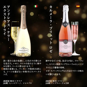 厳選 金賞入り 高品質 全部 辛口 スパークリング ワイン 12本 飲み比べ セット ［常温］ 【送料無料】 [W][S] 泡 イタリア スペイン シャンパン製法 瓶内二次発酵 カヴァ スプマンテ オーガニック 入り ギフト おすすめ 飲み比べ【エコ得】
