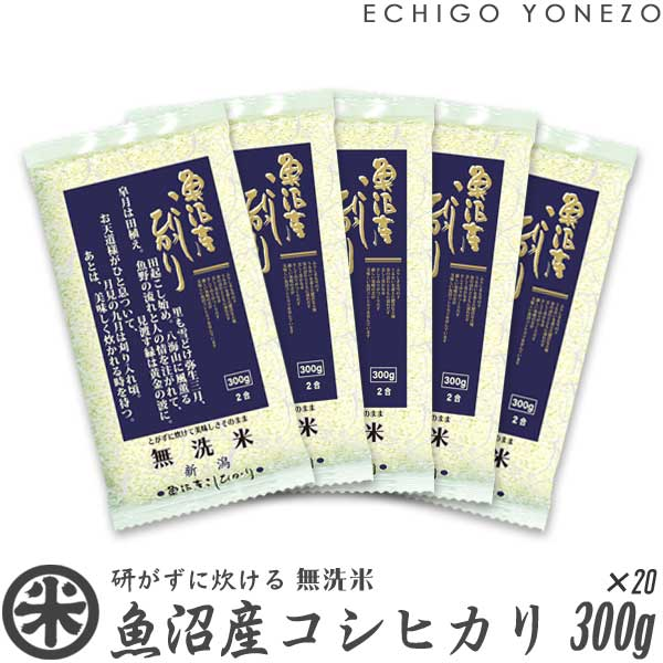 【新潟米 令和3年産】無洗米 新潟産コシヒカリ 窒素充填 小分けパック 6kg (300g×20袋) NTWP製法