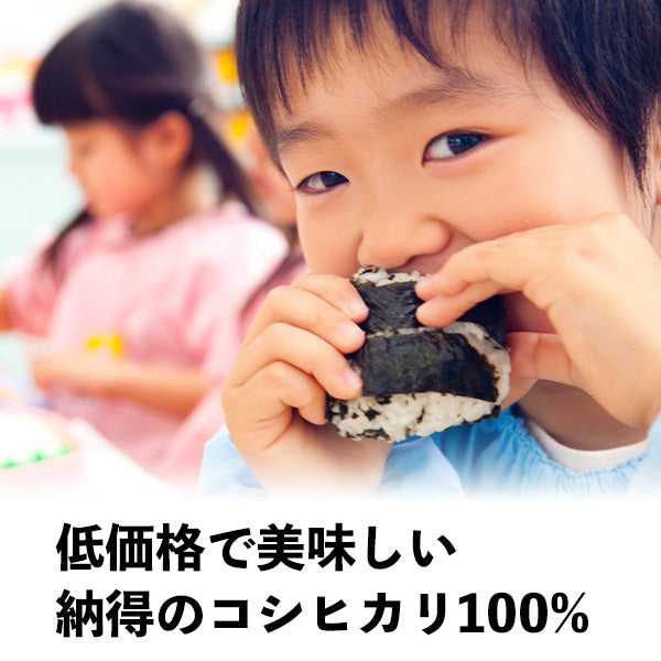 大地の贈り物 コシヒカリ 10kg （本州：送料無料）