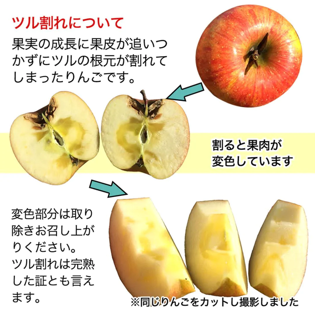 サンふじ 加工用 約3kg 7-16玉＃YAF0K030