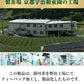 緑茶 掛川茶 ティーバッグ 50袋ｘ２個 計100袋