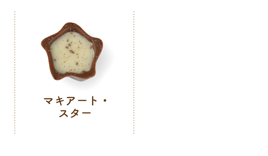 リンツ ミニプラリネ 180g ＋ 贅沢はちみつ紅茶 【エコ得】