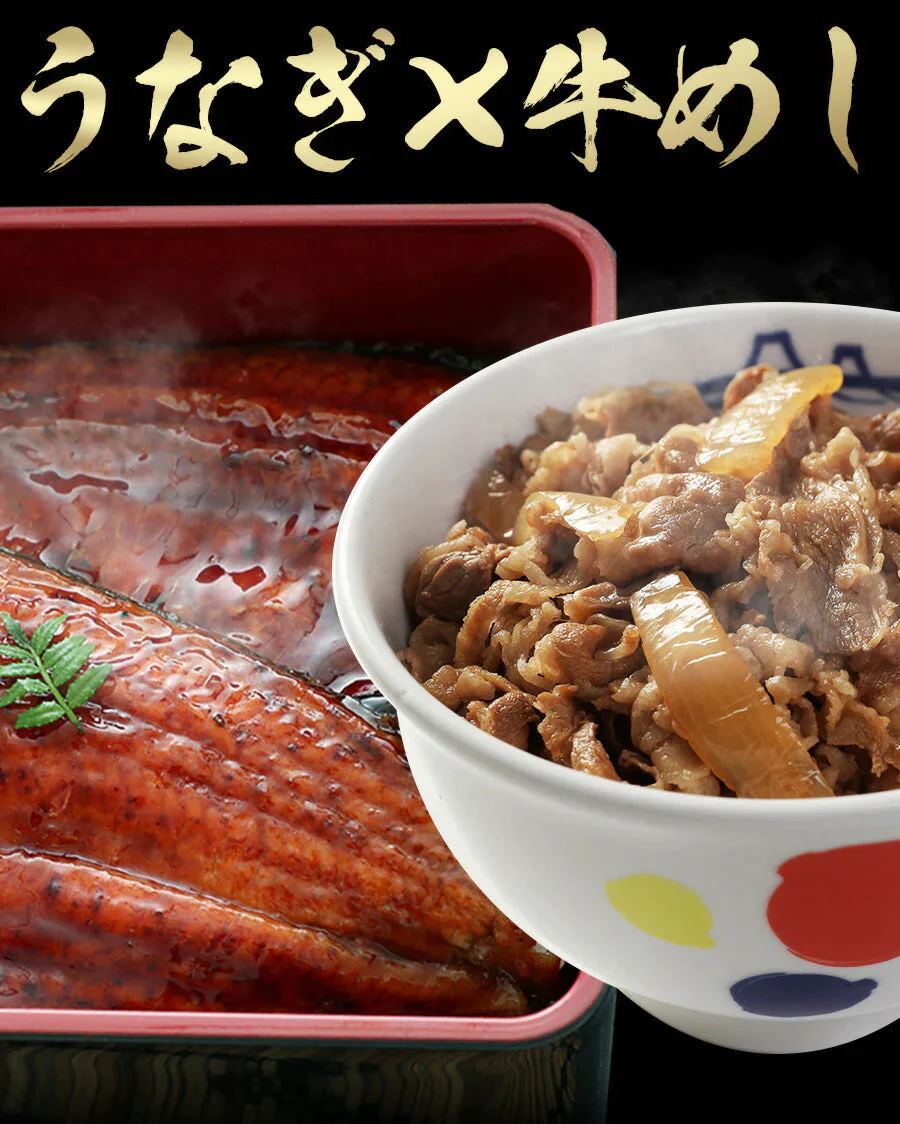 【超シェア買い祭】松屋 牛丼 鰻・牛めしコンボセット12個（プレミアム仕様牛めしの具×10　うなぎ 鰻 うなぎカット80g 2枚）ウナギ 鰻 うなぎ 鰻のかば焼き 鰻の蒲焼 蒲焼 かば焼き うなぎの蒲焼 土用 土用の丑の日 丑の日 牛丼 肉 業務用 惣菜 お弁当 絶品 お試し 仕送り 送料無料
