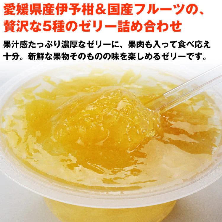 ゼリー 詰合せ まるごと果樹園 フルーツゼリー 詰め合わせ 5種食べ比べ 12個入り 愛媛県産 伊予柑  フルーツ  化粧箱