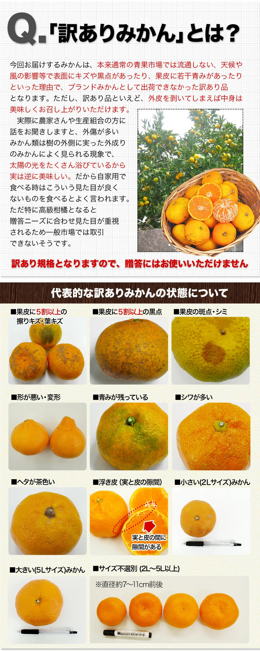 【新年シェア買いセール】みかん 福袋 5kg 前後 送料無料【高級フルーツが当たるかも】訳あり 熊本みかん ぽんかん デコポン マスク メロン 不知火 デコみかん など 食べ比べ セット 旬 柑橘 果物 食品 グルメ フルーツ 予約