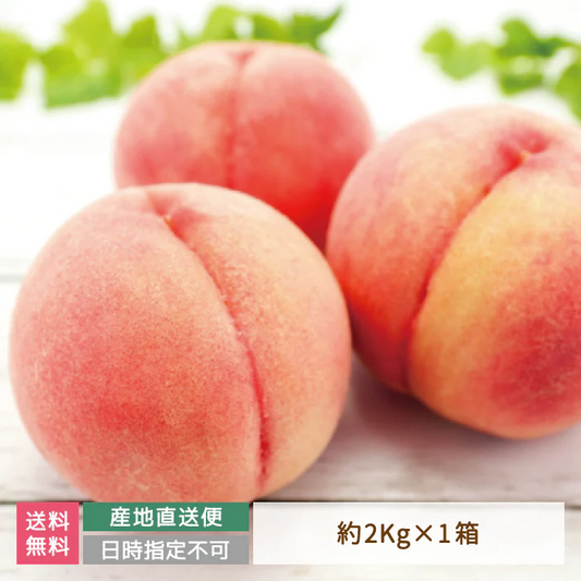 福島県産 桃 約2kg (6玉入り) ※収穫状況による変動あり【特産品・ご当地特集】