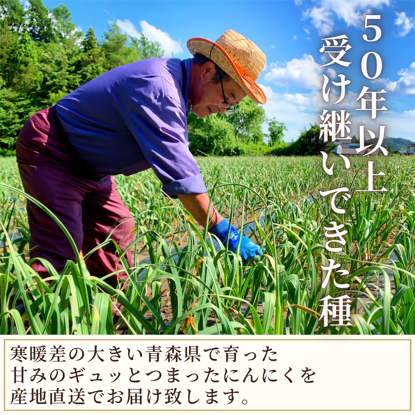 【お試しにんにく3点セット】カットにんにく 焼肉のたれ 甘口にんにく味噌 青森県田子町産 福地ホワイト六片 産地直送 送料無料 国産 野菜 健康 薬味 ガーリック