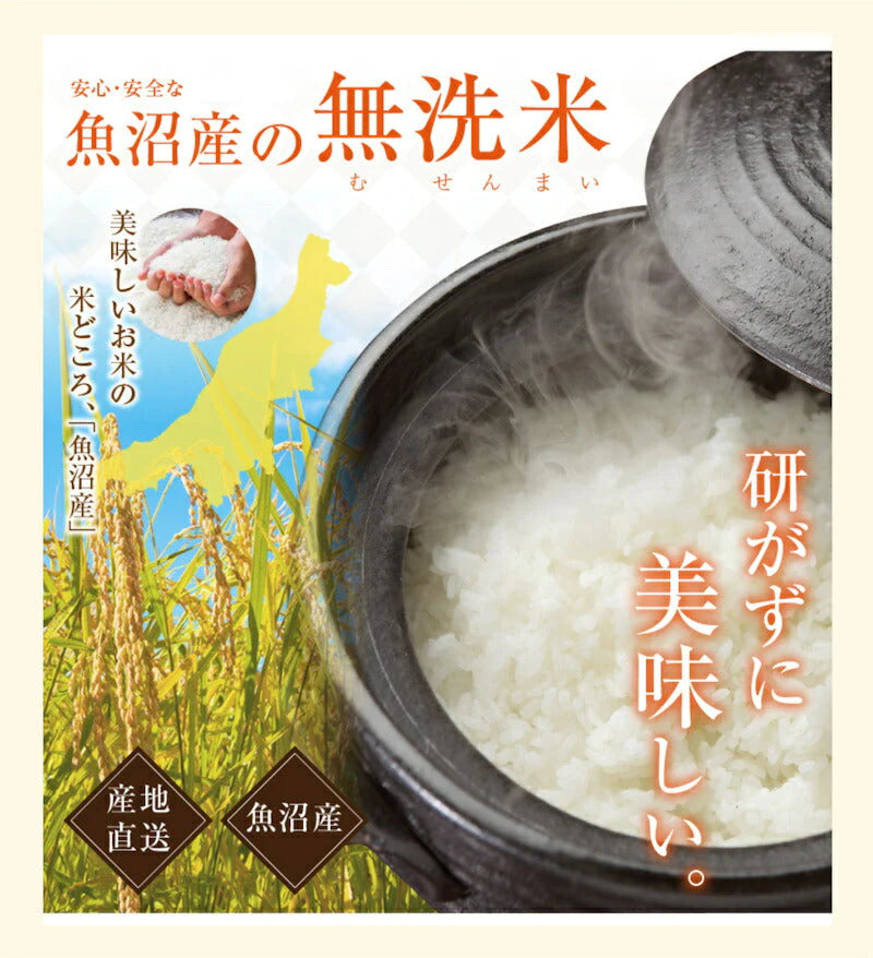 【送料込み】令和４年産 南魚沼産 コシヒカリ 300g 無洗米 新潟県 南魚沼 JAみなみ魚沼農協真空包装 天地米