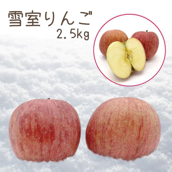 【数量限定送料無料】雪室りんご 雪中りんご 訳あり 青森りんご サンふじ 甘味が強い品種2.5kg（約12個～個体差により変動あり）　【6125】