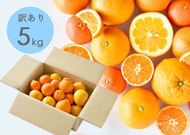 訳あり春かんきつお楽しみ箱5kg(3～4種類の春かんきつ詰め合せ)【家計お助けSALE】