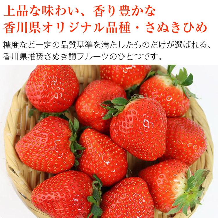【※使わない方】さぬきひめ いちご 2パック 合計約520g 香川県産