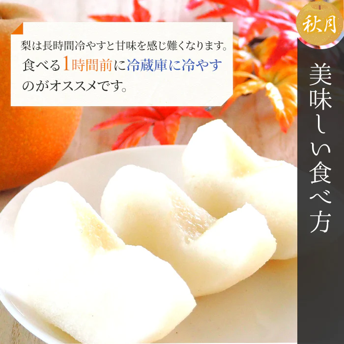 【9月上旬順次発送】送料無料 熊本産 赤秀 あきづき 2.5キロ 6-10玉入り