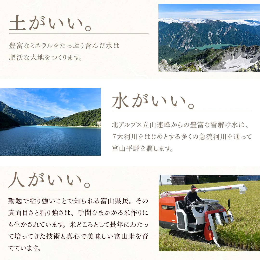 無洗米 米 富山県産 こしひかり 20kg (5kg×4) 令和5年産 新米 お米 白米 おくさま印 国産 食品 ギフト 引っ越し 挨拶 出産 内祝い 母の日 父の日 お中元 お歳暮 結婚 快気 還暦 香典返し お年賀 送料無料