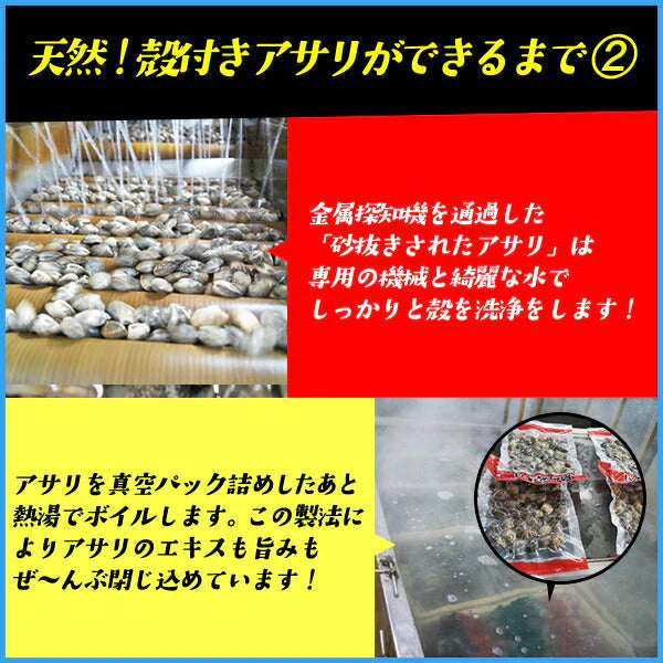 【送料無料】天然 殻付きアサリの旨味ボイル どっさり1kg 冷凍食品 あさり 貝 かい カイ 浅利 お中元【家計お助けSALE】