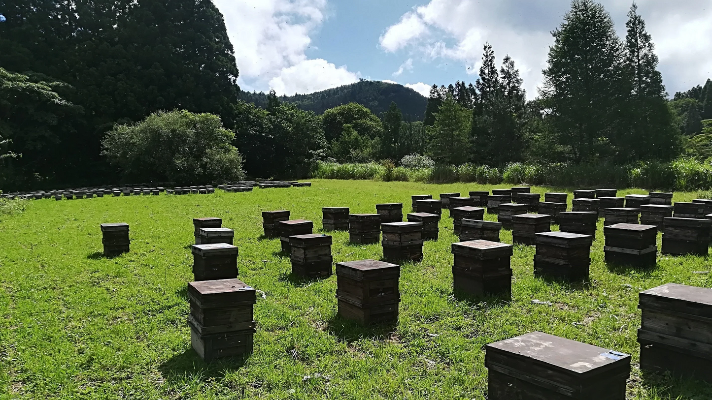 野山みつ 430g　はちみつ　ハチミツ　国産蜂蜜