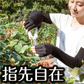 抗菌 防臭  UV指あきグローブ アクアプラス 紫外線対策 UVカット UVケア 日焼け防止 レディース プール 海 アウトドア 手袋 スマホ ブラック メッシュ 冷感 ひんやり プレゼント ギフト