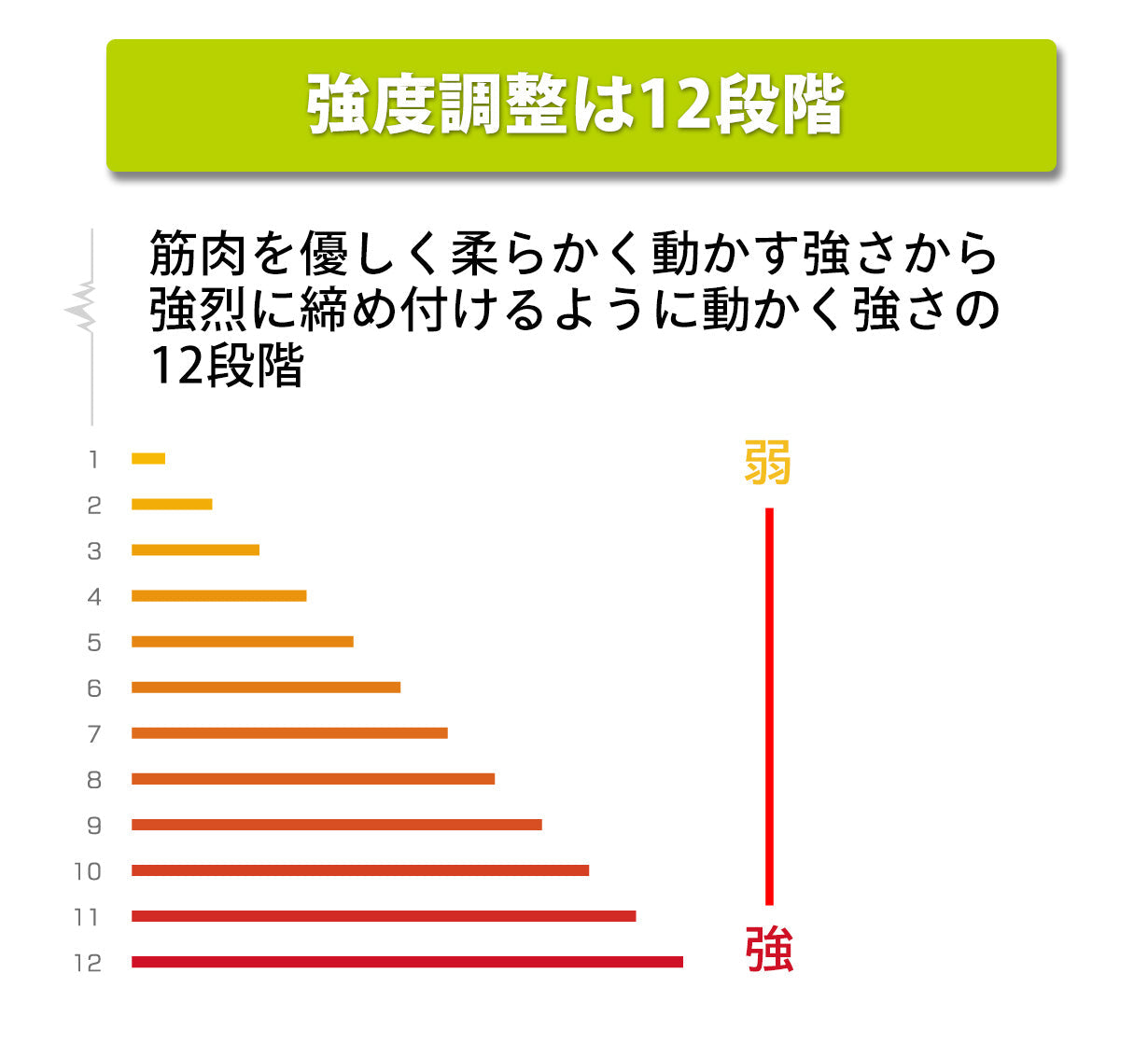 【メーカー公式】リアルEMSチャンピオンVer2 Sサイズ（ウエスト60～72cm）