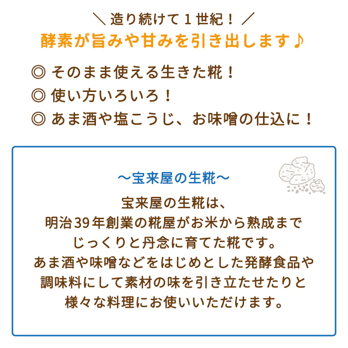生糀 400g×10個