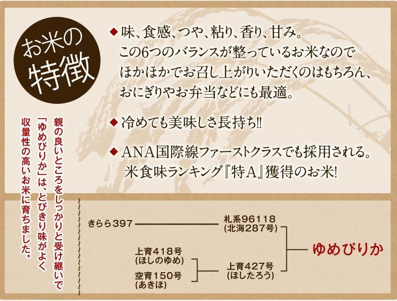 【最安値挑戦祭】［令和4年産］北海道産 ゆめぴりか無洗米10kg［5kg×2］30kgまで1配送でお届け北海道・沖縄・離島は送料無料対象外【送料無料】【1〜2営業日以内に出荷】