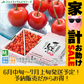 【予約商品　6月下旬〜7月下旬発送】 さくらんぼ 佐藤錦 ご家庭用 約1kg バラ詰め　【家計お助けSALE】