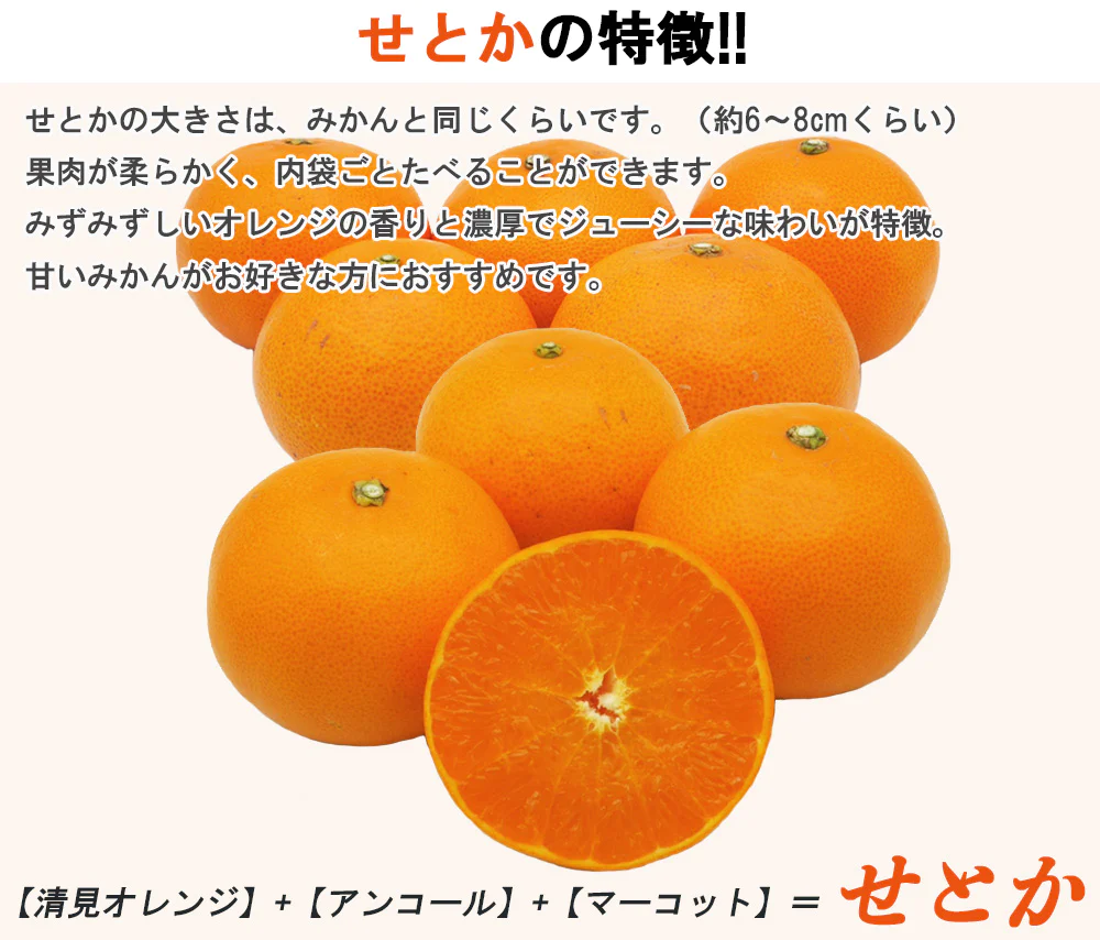 せとか みかん 5kg ミカン 蜜柑 サイズミックス 柑橘 フルーツ 果物 くだもの 箱買い 産地直送 愛媛県産 YDF-019