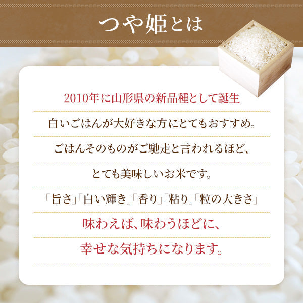 お試し 令和3年 山形県産 つや姫  送料無料 300g（2合） 精米 お米 コメ 米 無洗米