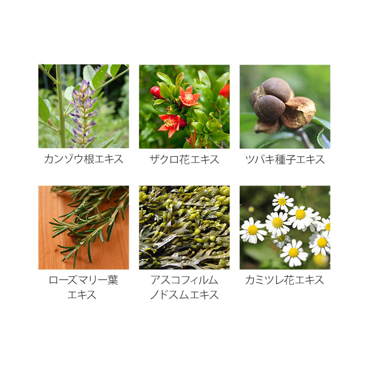 For fam（フォーファム）ボディローション 300g  2本セット