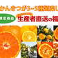 訳あり春かんきつお楽しみ箱5kg(3～4種類の春かんきつ詰め合せ)【家計お助けSALE】