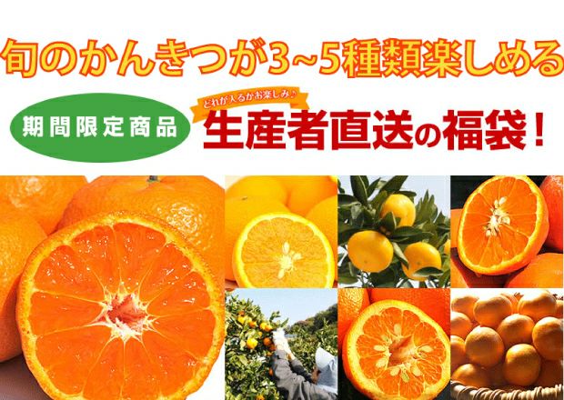 訳あり春かんきつお楽しみ箱5kg(3～4種類の春かんきつ詰め合せ)【家計お助けSALE】