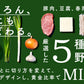bibigo 王マンドゥ 肉＆野菜 350g (約10個入) 話題の王マンドゥを少量でお試し！餃子 ビビゴ【公式】【ゲリラセール】